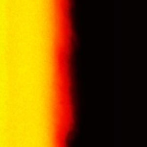 Meet your Posher, Eleanor